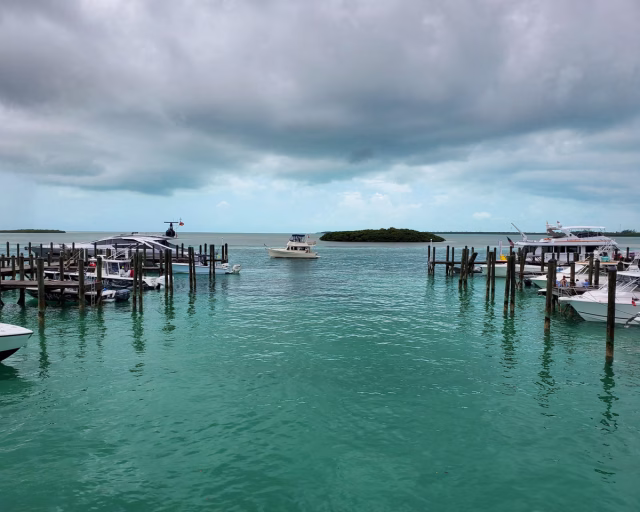 British Mother Dies During Bahamas Snorkelling Trip While Rescuing Her Sons