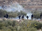 Settlers Injure Palestinians and US Journalist in West Bank